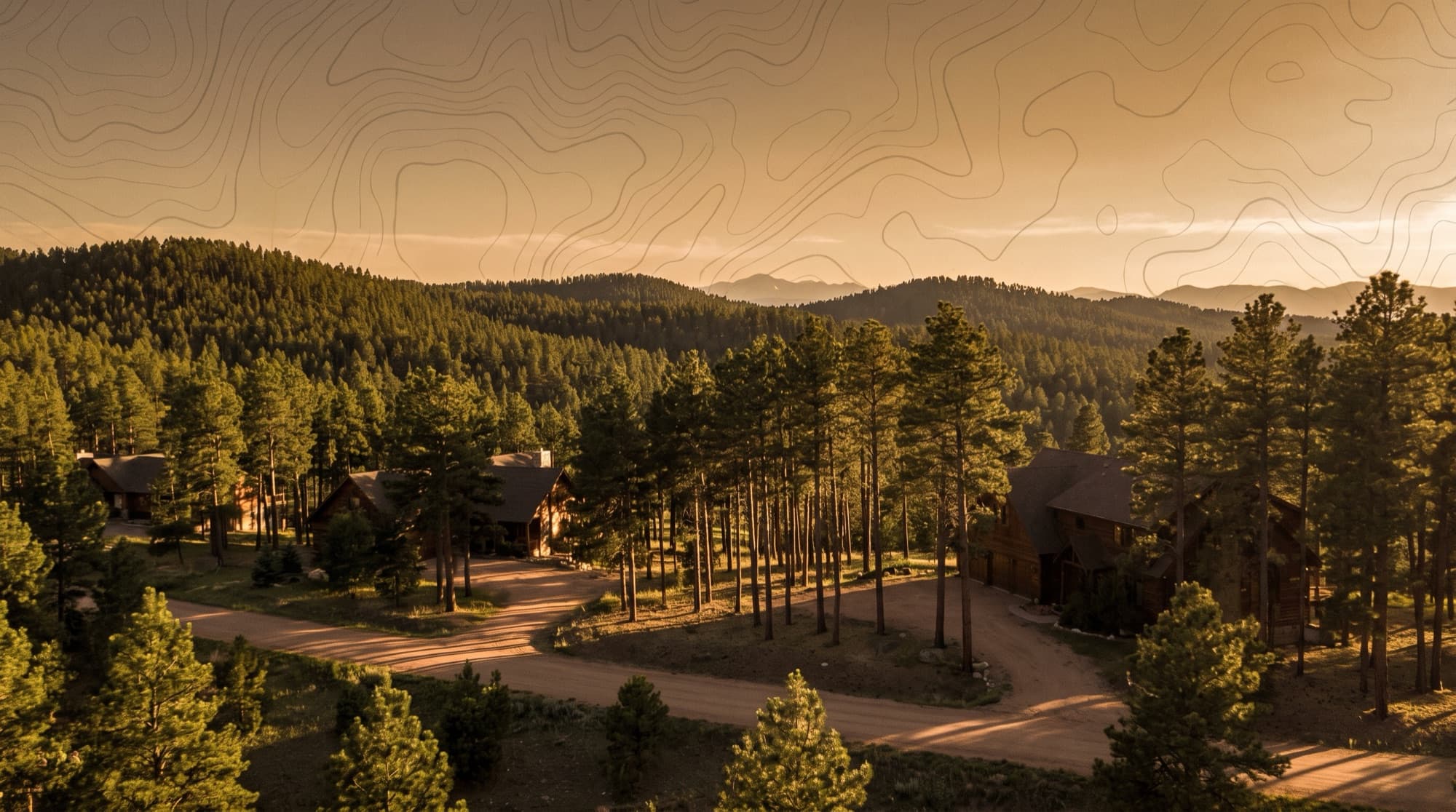 Tall ponderosa pines and secluded homes on wooded lots at golden dusk in Black Forest, Colorado